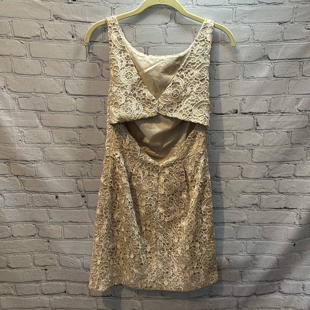 Aidan Mattox | Sleeveless Lace Jacquard Champagne Mini Cocktail Dress | Size 8 - Picture 6 of 8